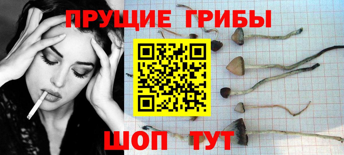 Галлюциногенные грибы Magic Shrooms Асино